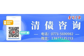 冷湖为什么选择专业追讨公司来处理您的债务纠纷？